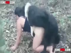 A lustful harlot takes her dog on a wicked woodland stroll.
